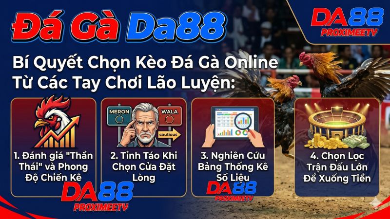 Hướng dẫn cách xem tướng gà và phân tích bảng thành tích đá gà tại Da88.