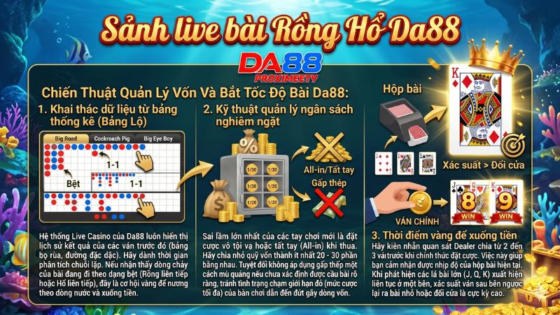 Phương pháp soi cầu và quản lý vốn hiệu quả khi chơi Rồng Hổ Da88