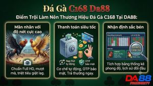 Trận tranh tài nảy lửa giữa hai chiến kê cựa sắt tại đấu trường C168.