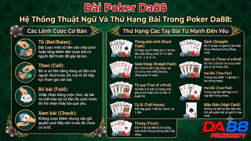 Đồ họa minh họa thứ hạng các tay bài từ Thùng phá sảnh đến Mậu thầu trong Poker.