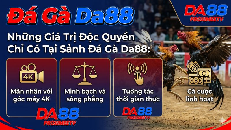 Trải nghiệm xem đá gà trực tiếp độ phân giải 4K sắc nét trên điện thoại tại Da88.